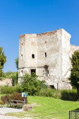 Fototapeta na wymiar ruins of Wenzersdorf Castle, Lower Austria, Austria