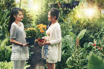 Obraz premium Young Asian women chatting when choosing flowers in orangery