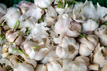 
 Save
Download Preview
Lots of garlic bulbs for sale in a market