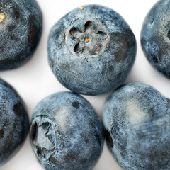 Bilberry or blueberry over white background