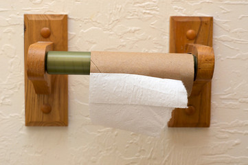 empty toilet paper roll