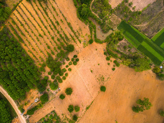 Fototapeta premium Aerial view of agricultural area