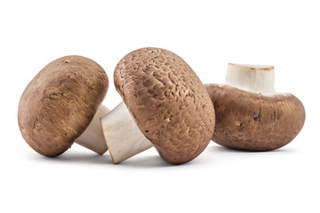 Fresh raw brown champignons mushrooms on a white background