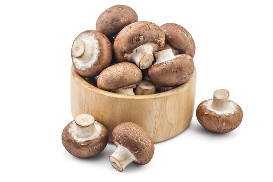 Fresh raw brown champignons mushrooms in wooden bowl on a white background
