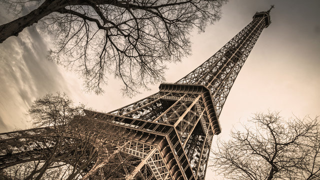 Fototapeta Eiffel Tower - Black and White (Sepia)