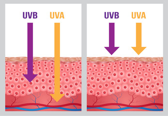 UV protection , uv a and uv b
