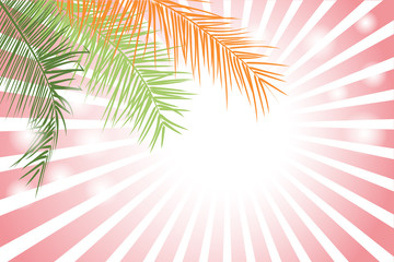 Palm Leaf or Coconut leaf Vector Background Illustration