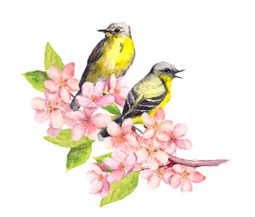 Birds on blossom branch with flowers. Watercolor