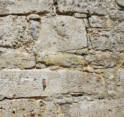 Stadtmauer Sommerhausen, Unterfranken