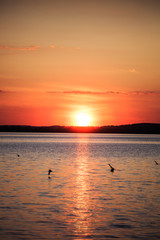 Obraz premium Picturesque view of a beautiful sunset over a river. Cloudy colorful sky.