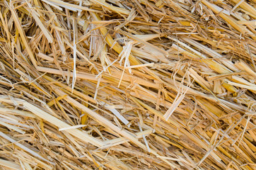 Close up of straw texture