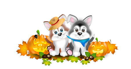 Two puppies with autumn decoration