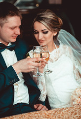 Newlyweds clinking glasses and enjoying romantic moment together at