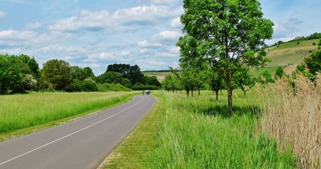 Main-Radweg, Nähe Würzburg