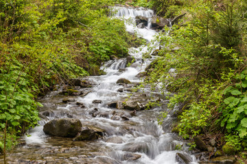 Mountain river flow at spring.