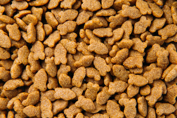 Fototapeta premium Dried cat food background