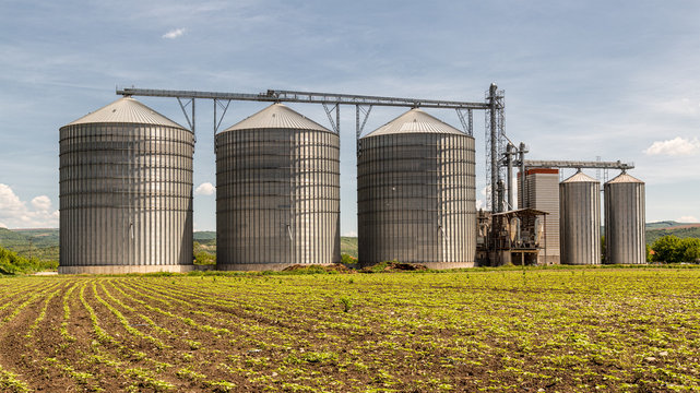 Grain Silo Over Blue Sky