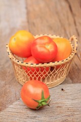 fresh tomatoes
