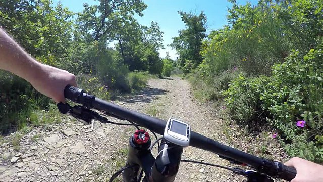 Mountain bike, down hill on extreme dirt track. POV Original point of view