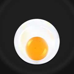 Fried egg, vector