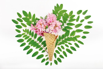 Cone with acacia flowers