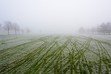 Foggy Golf Course Fairway