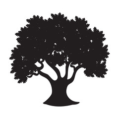tree isolated  design 