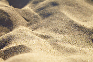 Fototapeta na wymiar Small sand dunes on beach.