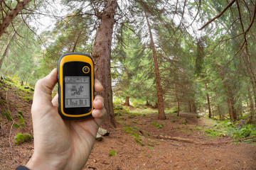 finding the right position in the forest via gps