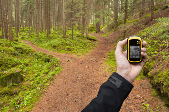 finding the right position in the forest via gps