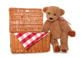 teddy bears picnic