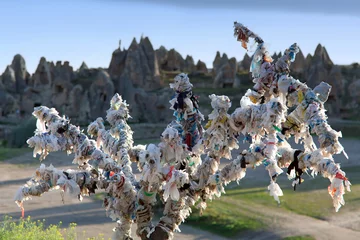 Foto op Aluminium Tree Of Wishes in Cappadocia, Turkey © Zzvet