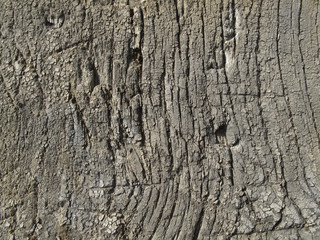 Very old weathered wood texture