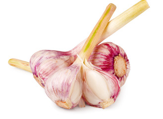 three fresh garlic head isolated on white background