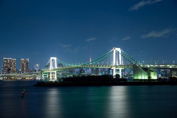 Fototapeta na wymiar Tokyo Skyline at night