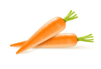 Two fresh carrots