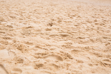 Fototapeta na wymiar tracks on a sand
