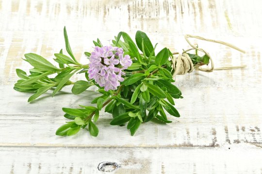 bunch of thyme on wooden background