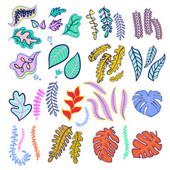 Set of tropical leaf fashionable colors.