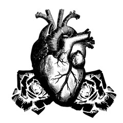 Эскиз татуировки сердце и розы - obrazy, fototapety, plakaty