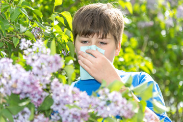 boy with allergic rhinitis near blossoming lilac