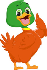 cute duck cartoon give thumb up