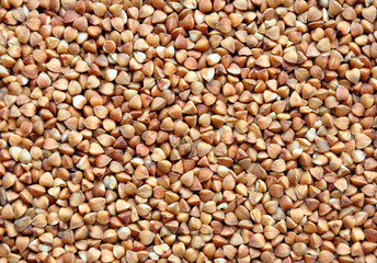 Buckwheat Background