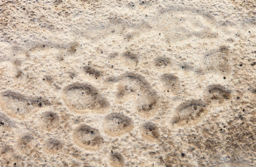 Sand surface after the rain