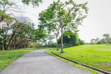 The landscap park and grass in city
