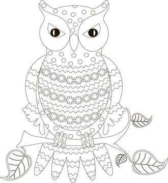 Zentangle stylized owl black and white hand drawn, vector illustration