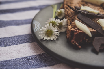 Piece of chocolate cake on a plate