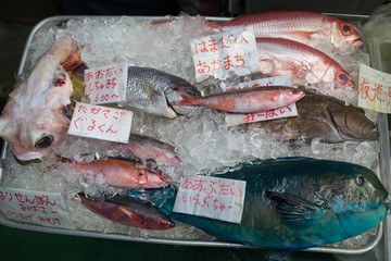 Different fish on ice for sale