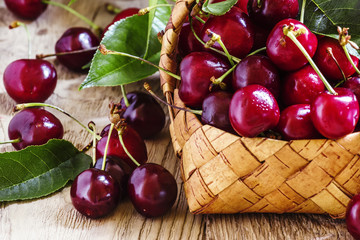 Sweet ripe cherries with leaves in a wicker basket on a vintage