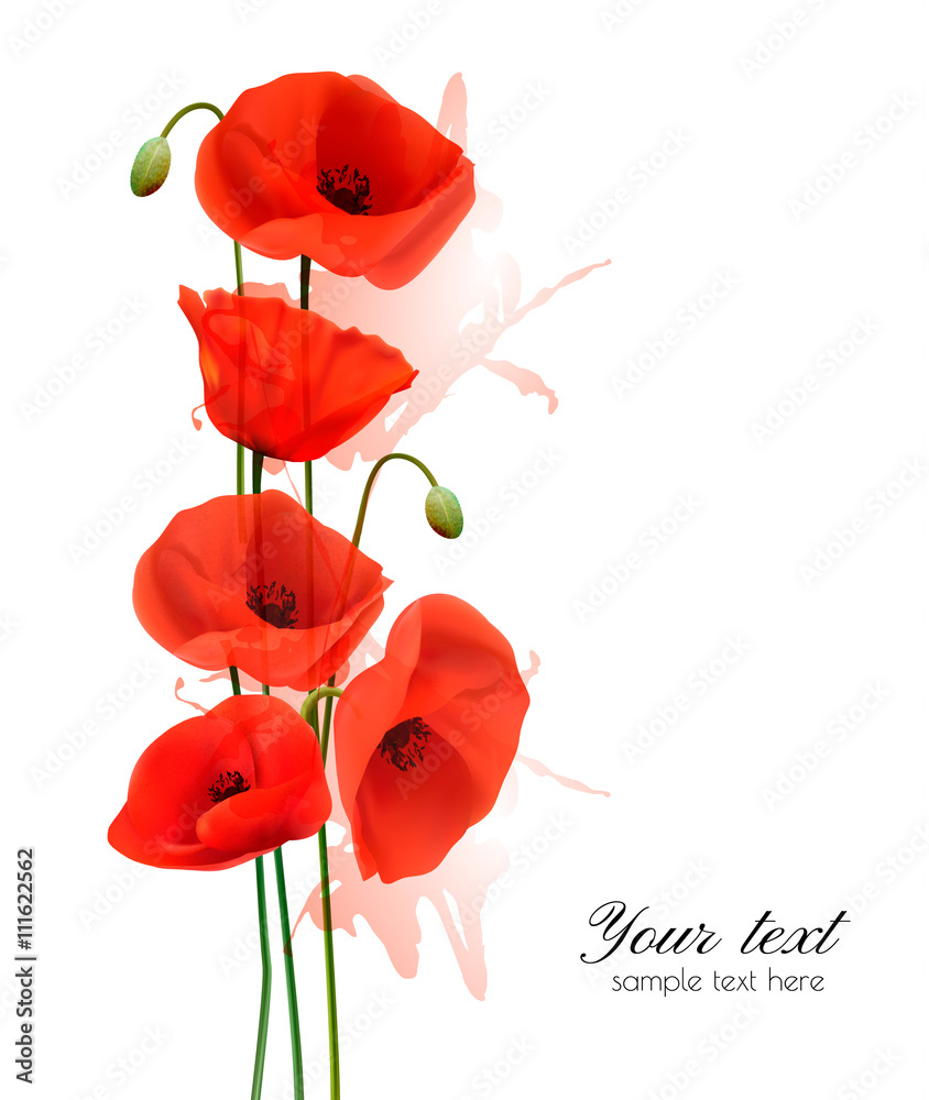 Poster nature summer background with red poppies. vector.